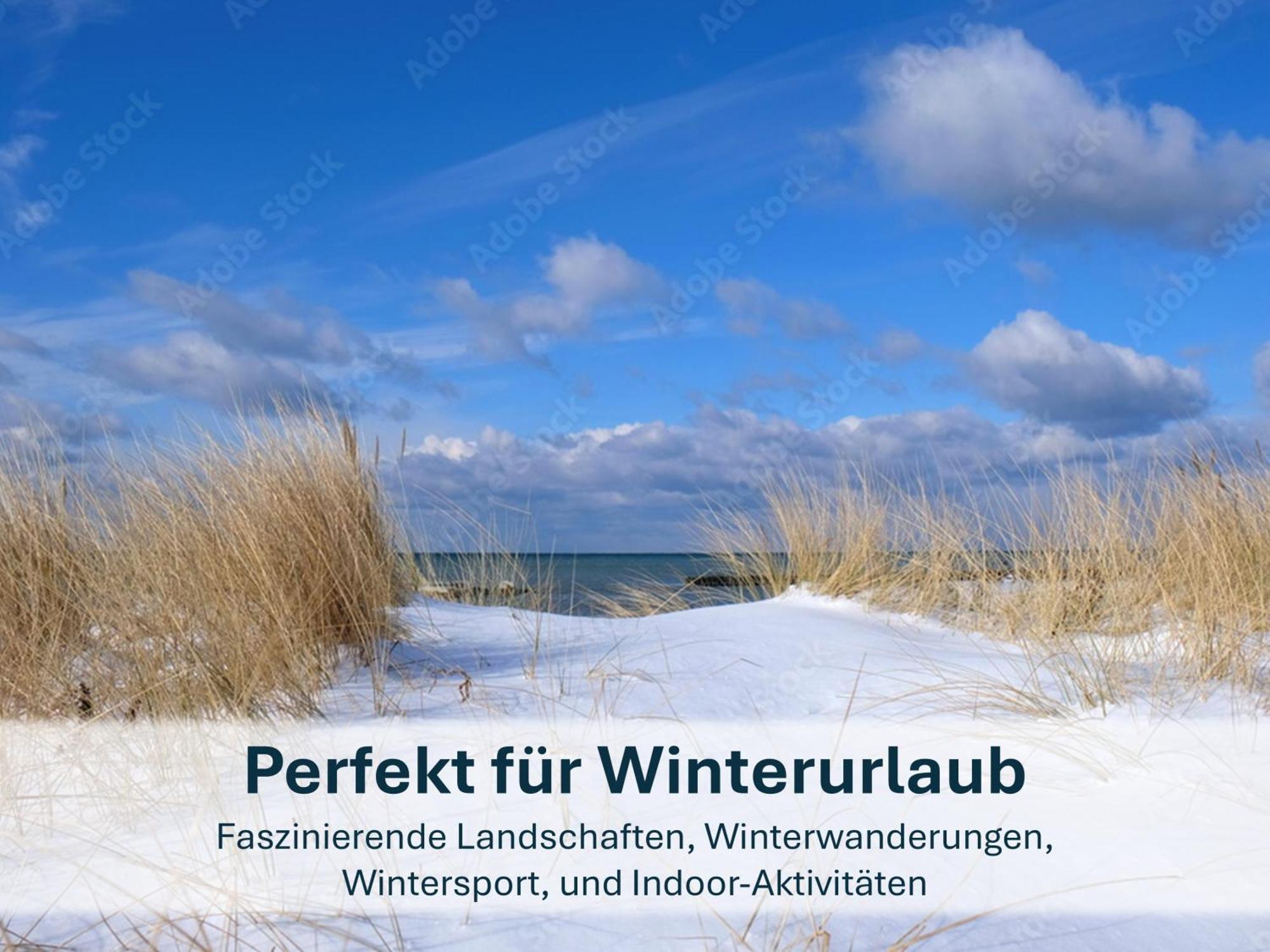 Zinnowitz, Paradies Am Wald - Wg 05 Buitenkant foto